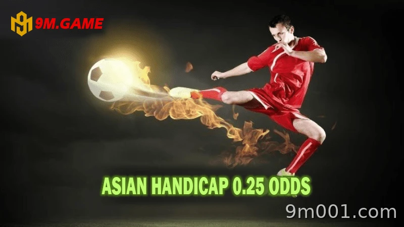 Asian handicap, over/under, and European odds are the most popular.