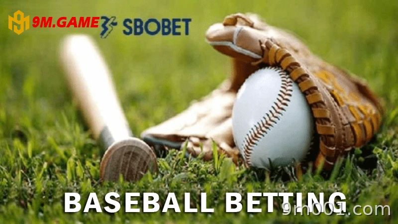 Understand the field, players, and basic rules.