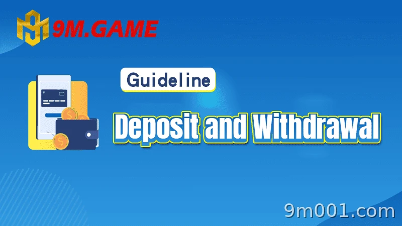 Overview of the deposit and withdrawal process at 9M